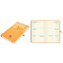 Albi Pocket Diary 2025 mit Gummiband - Fuchs 9,3 x 15 x 1,3 cm