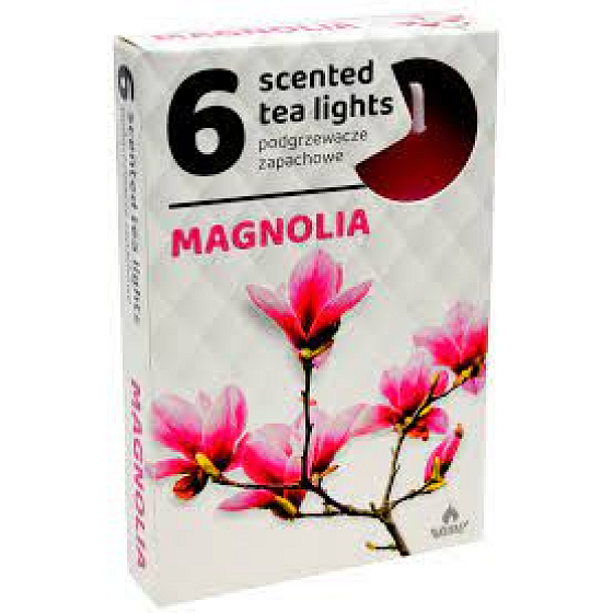 Teelichter Magnolie duftende Teelichter 6 Stück