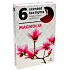 Teelichter Magnolie duftende Teelichter 6 Stück