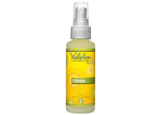 Saloos Natur Aroma Airspray Lemon Wohnspray für geistige Anstrengung, regt das Gehirn an, die Aktivität um 50 ml zu steigern