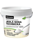 Balhome Natriumbicarbonat technisch 500 g
