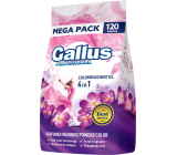 Gallus Waschmittel, 120 Waschgänge, color, 6,6 kg