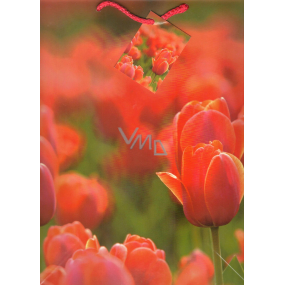 Nekupto Geschenk Papiertüte 32,5 x 26 x 13 cm Tulpen 1 Stück 765 30 BL
