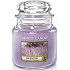 Yankee Candle Lavender - Lavendelduftkerze Klassisches mittleres Glas 411 g