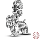 Charm Sterlingsilber 925 Hund - Yorkshire Terrier - Yorkie, Anhänger für Armband Tier