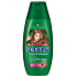 Schauma Push-Up für größeres Volumen Haarshampoo 250 ml