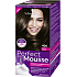 Schwarzkopf Perfect Mousse Permanentschaum Haarfarbe 400 Iced Espresso