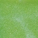 Gabriella Salvete Emaille mit Härter Nagellack 146 11 ml