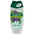 Palmolive Pure Blackcurrant Duschgel 250 ml