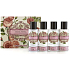 Somerset Toiletry Rose Körperlotion 50 ml + Duschgel 50 ml + Haarshampoo 50 ml + Haarspülung 50 ml, kosmetisches Reiseset