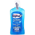 Signal White Now Mundwasser 500 ml