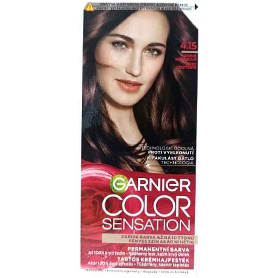 Garnier Color Sensation Haarfarbe 4.15 Eisig Kastanienbraun