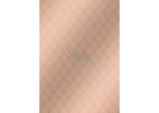 Ditipo Geschenkpapier 70 x 100 cm Trendy Colours braun 2 Blatt