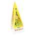 Liran Weihnachtspaket Grüner Tee, Honig und Zimt 20 x 2 g