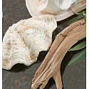 Village Candle Seashore Driftwood Duftkerze in Glas 2 Dochte 262 g