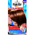 Schwarzkopf Palette Farbe XXL V30 sexy hellbraun