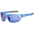 Entspannen Sie sich bei Sampson Sunglasses R5403G