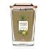 Yankee Candle Pear & Tea Leaf Elevation Großes Glas 2 Dochte 552 g