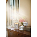 Yankee Candle Passionflower - Flower of Passion Sojaduftkerze Elevation kleines Glas 1 Knoten 96 g