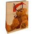 Nekupto Geschenk Kraftbeutel 28 x 37 cm Weihnachten mit Teddybär 600 WKHL