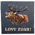 Bohemia Gifts Jagd mit Glück Steingut Untersetzer quadratisch 10 x 10 cm
