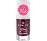 Essence What a Tint! lipgloss und Rouge 01 Kiss From a Rose 4,9 ml
