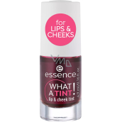 Essence What a Tint! lipgloss und Rouge 01 Kiss From a Rose 4,9 ml