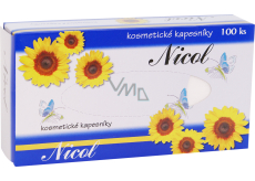 Nicol 2-lagige Papiertaschentücher in der Box, 100 Stück