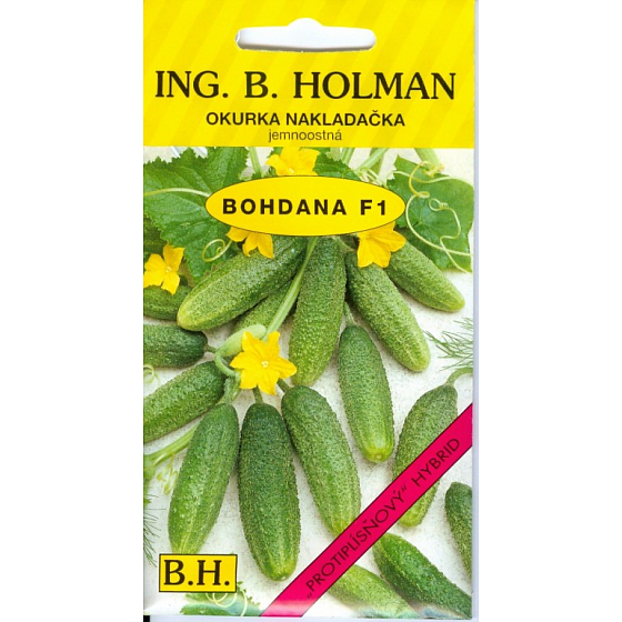 Holman F1 Bohdan Gurkenlader 2,5 g