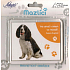 Nekupto Haustiere Magnetbild Cocker Spaniel