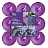 Bolsius Aromatic French Lavender - Duftkerzen French Lavender 18 Stück, Brenndauer 4 Stunden