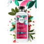 Herbal Essences Clean Strawberry & Sweet Mint Shampoo mit Erdbeeren und Minze, für glänzendes und hydratisiertes Haar, ohne Parabene 400 ml