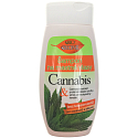 Bione Cosmetics Cannabis Shampoo für fettiges Haar 260 ml