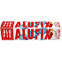 Alufix Eiswürfeltaschen, 240 Würfel, 10 Taschen