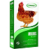 Mikros Legehennen Ergänzungsmineralfutter mit Vitaminen für Legehennen, Enten, Gänse und Puten bei Legehennen 1 kg