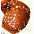Nekupto Ball Luxusrot mit goldenen Sternen 1 cm x 10 m KB 200 30