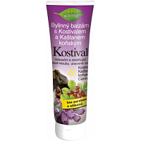 Bio Bione Cosmetics Kräuterbalsam mit Beinwell und Rosskastanie 300 ml
