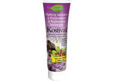 Bio Bione Cosmetics Kräuterbalsam mit Beinwell und Rosskastanie 300 ml