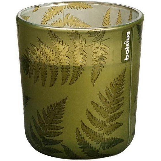 Bolsius Farn grün duftende Kerze im Glas 73 x 80 mm, Brenndauer 36 Stunden