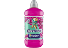 Coccolino Creations Snapdragon & Patchouli konzentrierter Weichspüler 51 Dosen 1,275 l
