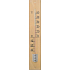 Schneider Thermometer Chat aus Holz im Freien 490 x 80 mm