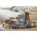 Yankee Candle Coastal Cypress - Küstenzypresse Soja-Duftkerze Elevation großes Glas 2 Dochte 553 g