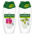 Palmolive Naturals Duschcreme Olive & Milch 250 ml + Duschcreme Orchidee & Milch 250 ml, 18 Stück im Karton
