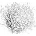 Essence Color Arts Pigmente 05 Star Dust 1,8 g