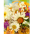 Nekupto Geschenk Papiertüte 23 x 18 x 10 cm Gänseblümchenmischung 1 Stück 812 01 BM
