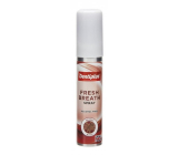 Dentiplus Aniseed Blast alkoholfreies Mundspray 25 ml
