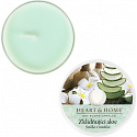 Heart & Home Beruhigende Aloe Soja Duftkerze in einer Tasse brennt bis zu 12 Stunden 36g
