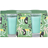 Emocio Lemongrass Verbena - Zitronengras und Eisenkraut Duftkerze Glas 50 x 62 mm 2 Stück in Box