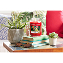 Yankee Candle Tropical Jungle - Tropischer Dschungel Duftkerze Classic groß Glas 623 g