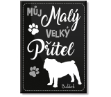 Nekupto Haustiere Magnet Bulldogge 66 x 90 x 2 mm